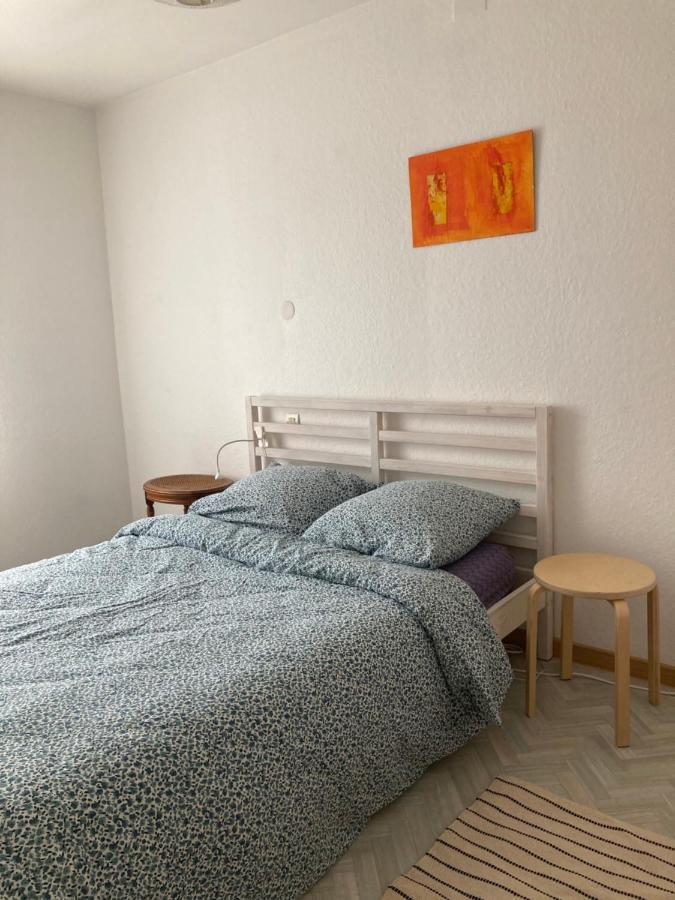 Samba Appartement De Charme 5 Pers มูลูส ภายนอก รูปภาพ